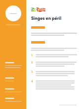 **Singes en péril** Vitesse